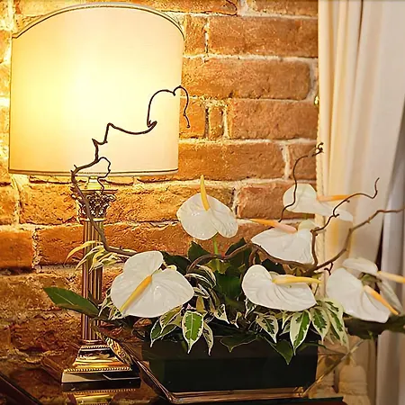 カ デル ノビレ 3*